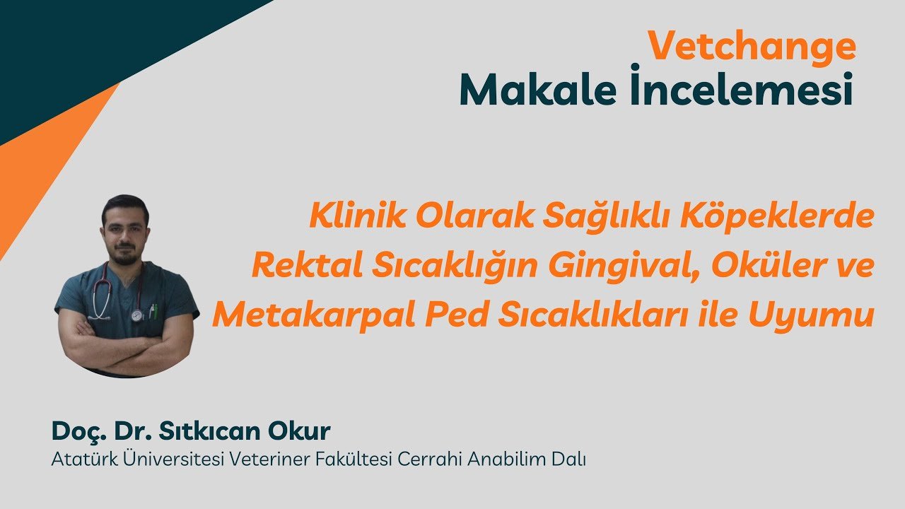 Vetchange Makale İncelemesi | Doç. Dr. Sıtkıcan Okur #veterinarymedicine #vetchange
